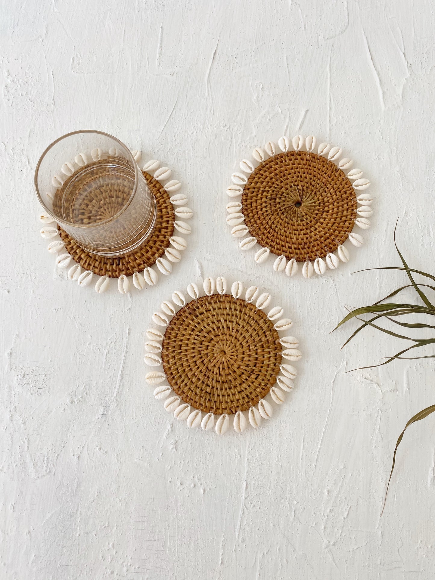 Set of Honey Rattan Shell Coaster