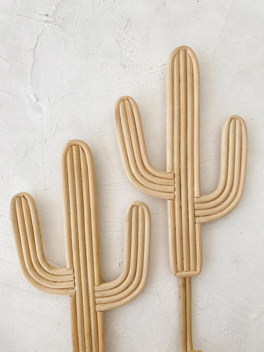 Set of 2 Cactus Rattan Hanger