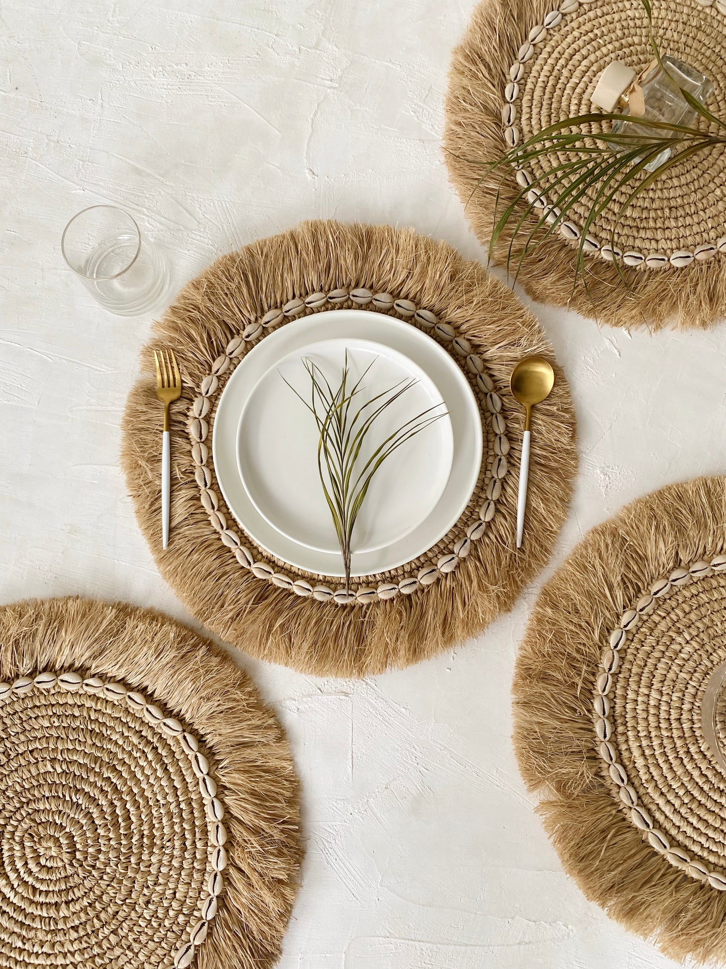 Raffia Shell Fringe Natural Placemats