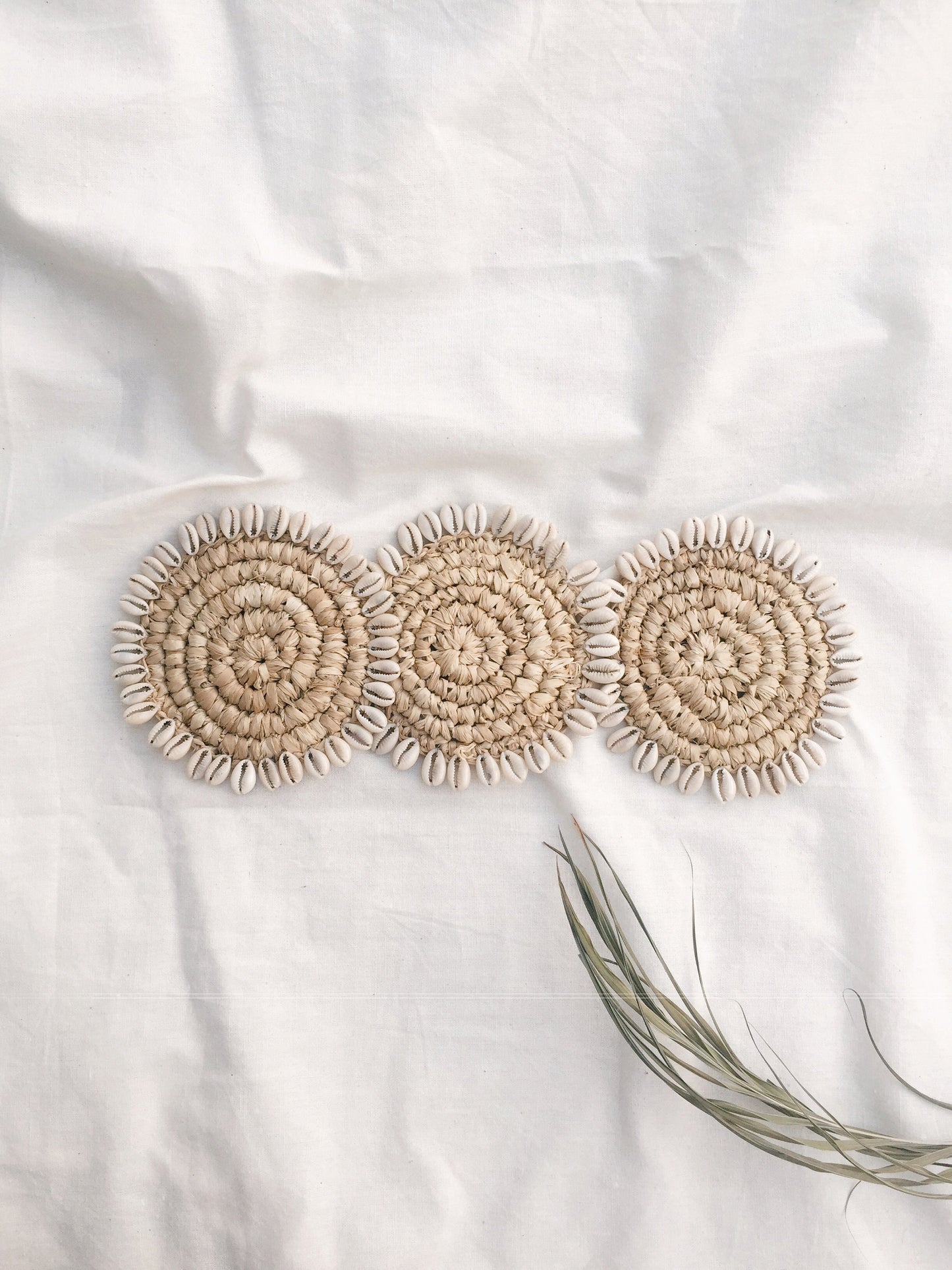 Set of Raffia Shell Coaster