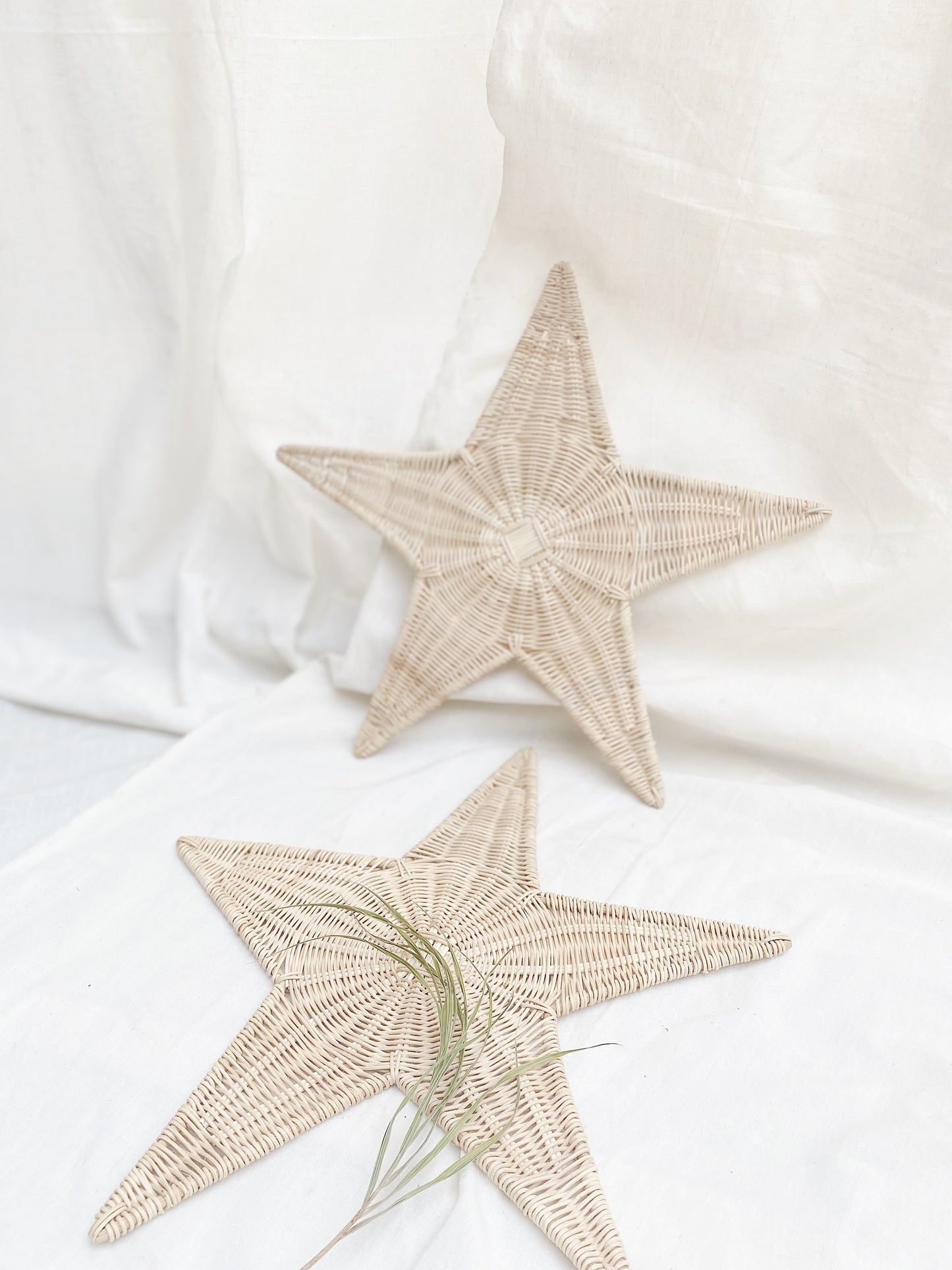 Star Rattan Placemats