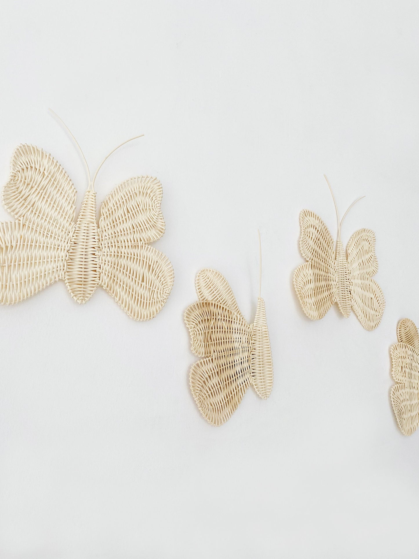 Set of 2 Butterfly Rattan