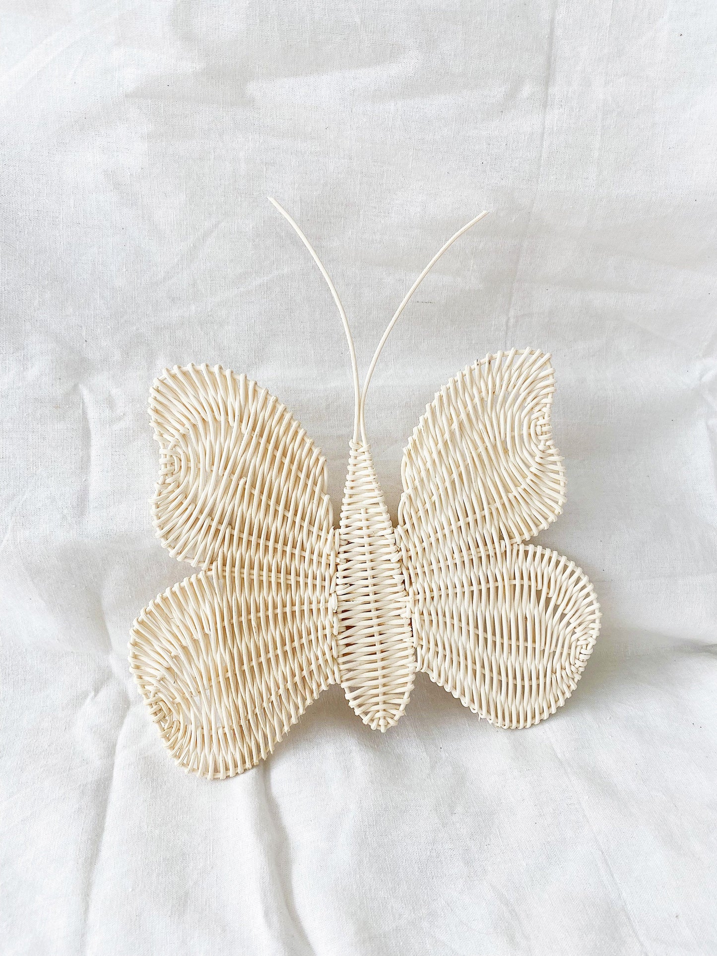 Set of 2 Butterfly Rattan